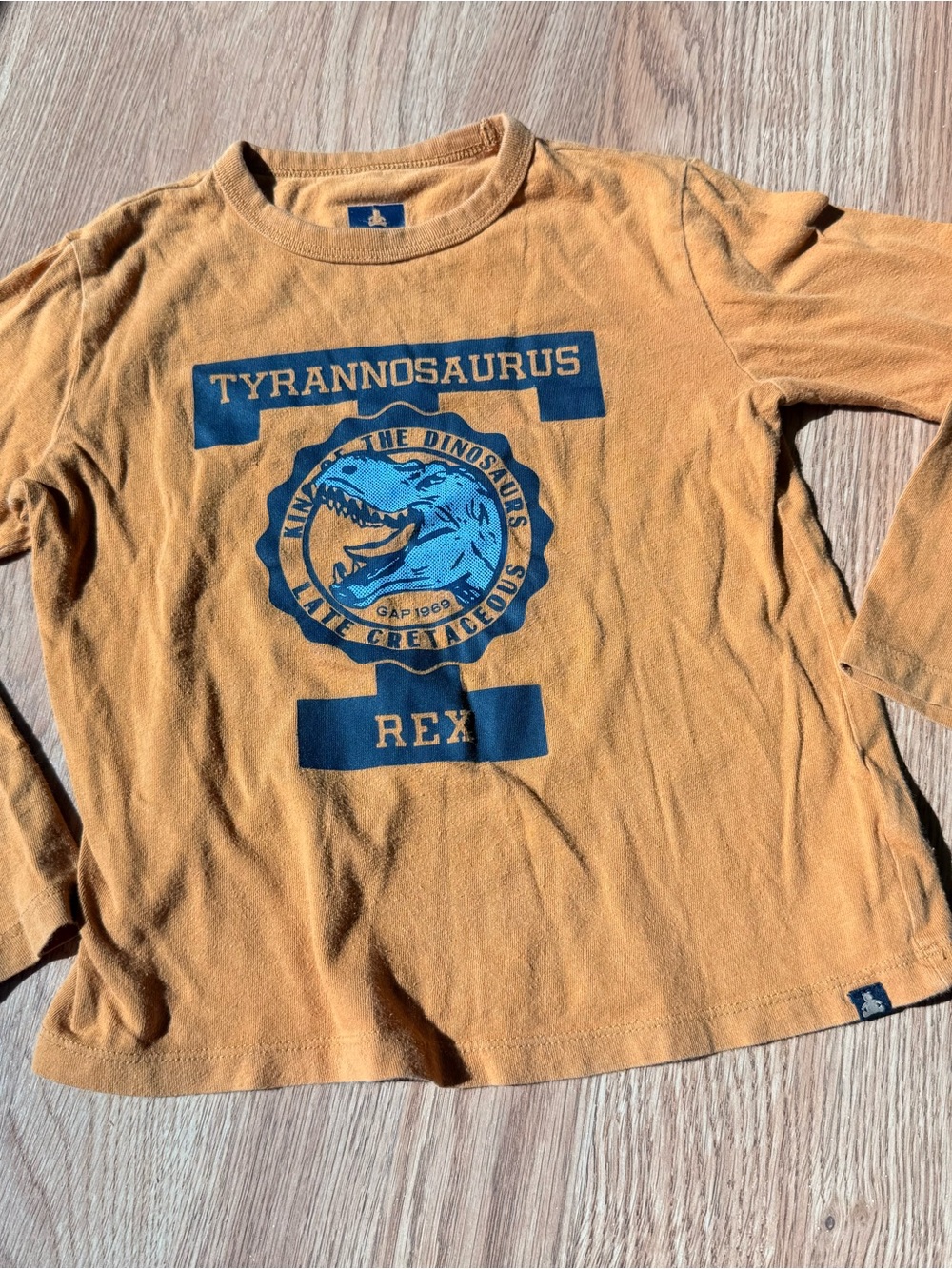 GAP Organic Boys Long-Sleeve Dino Graphic Tee Small 5